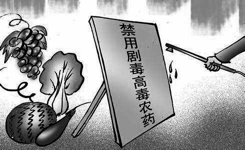 剧毒农药今后不得用于果菜生产