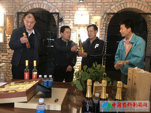 山西万荣县副县长畅印胜一行来陕西咸阳考察果酒企业