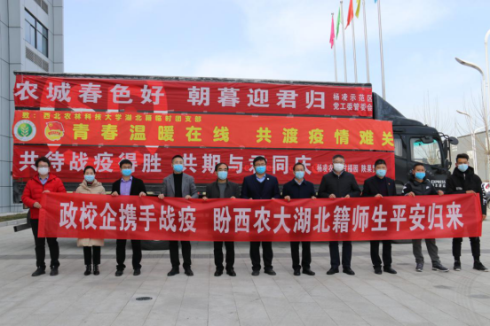 杨凌:政校企携手,为鄂籍师生共克时艰送温暖631
