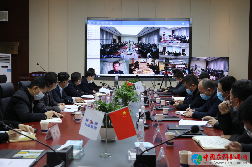 QQ截图20200319093703