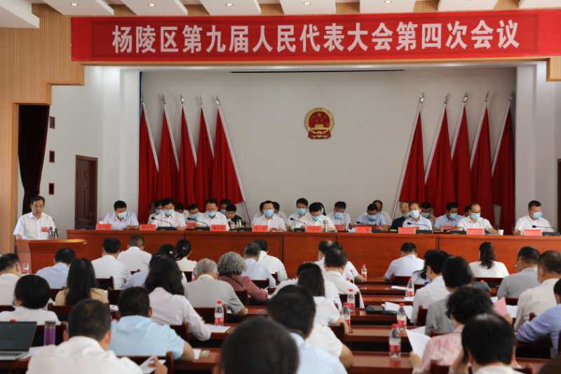 网4