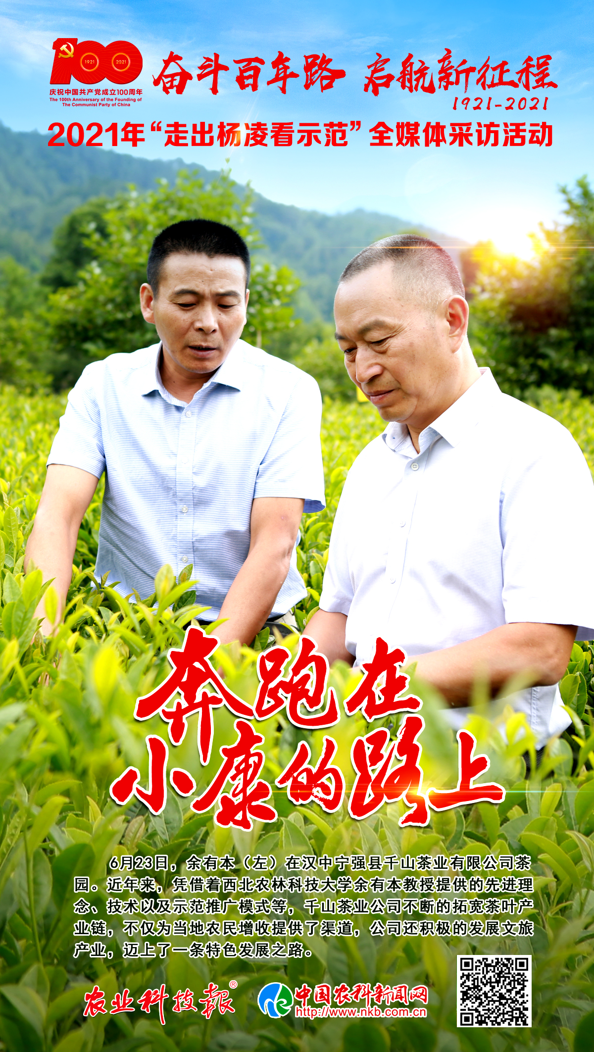 走出杨凌看示范② | “茶博士”开路，打开“茶+”新模式