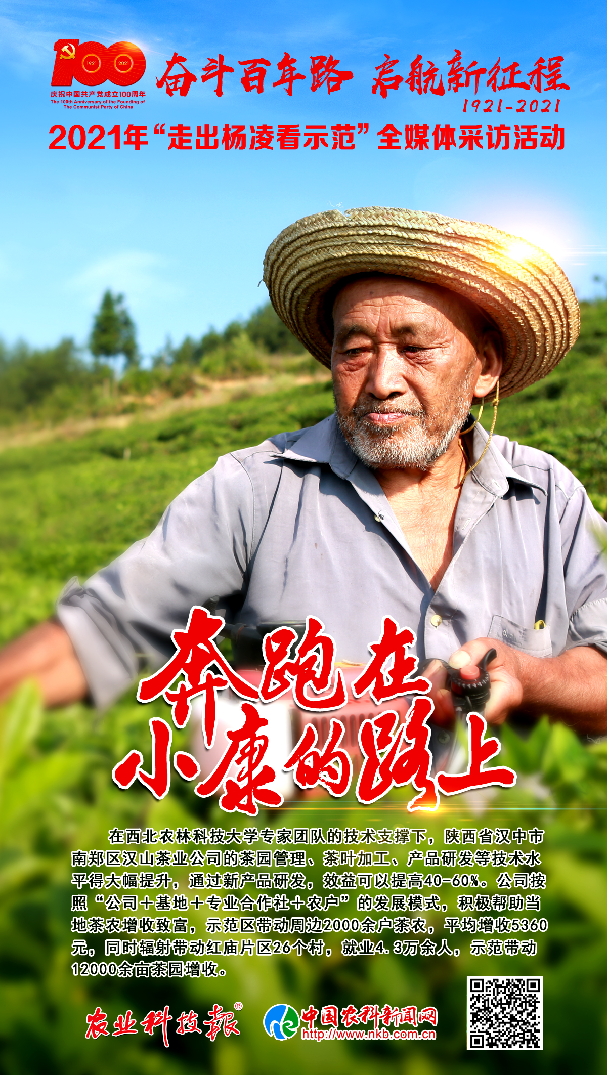 走出杨凌看示范① | 蕴在茶香里的“农科味”