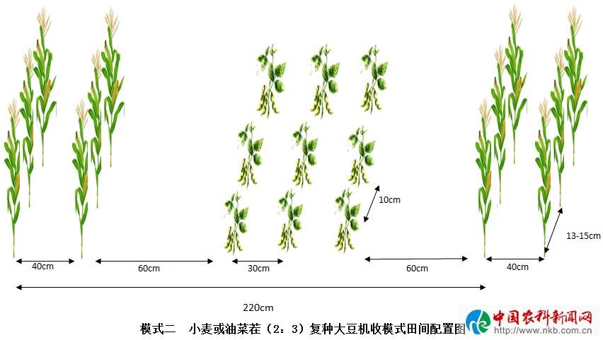 安康敲定大豆玉米带状复合种植面积16万亩