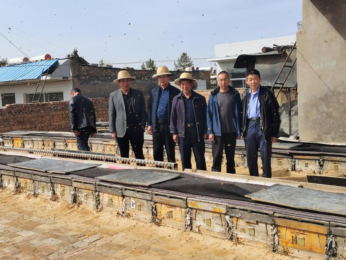 高宝国,会同榆林市养蜂协会张光忠,田慧宇等专家前往榆阳区刘官寨,韦